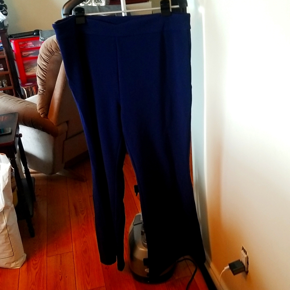 Shein Curve Navy Blue Pant 3X